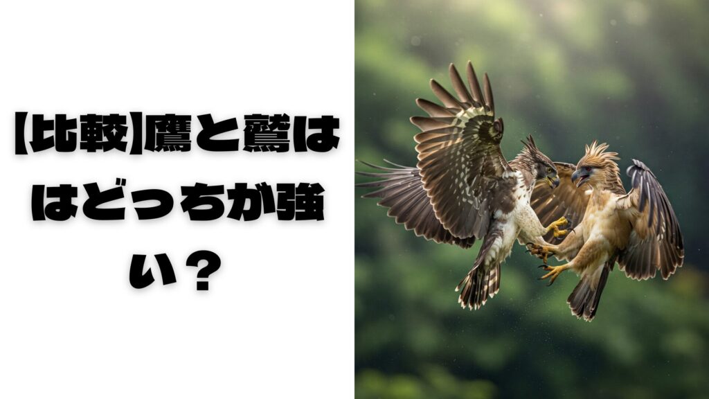 鷹と鷲が空中で戦っている画像