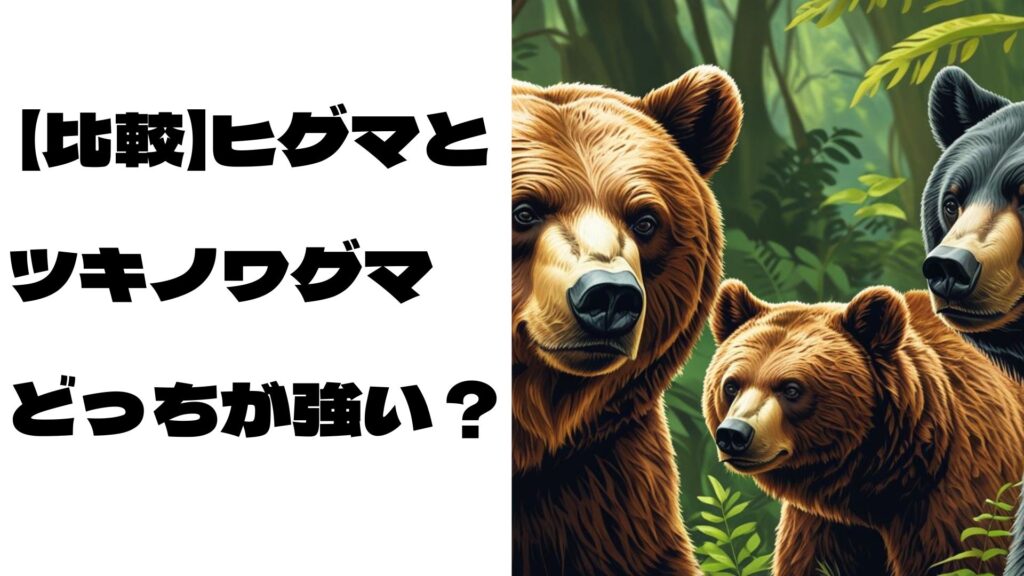 【比較】ヒグマとツキノワグマどっちが強い