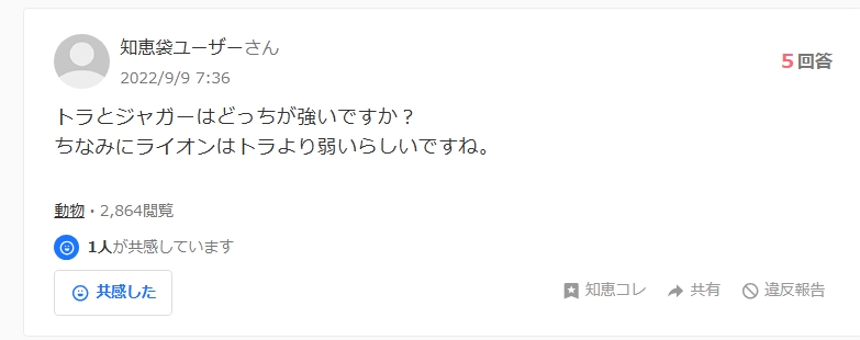 知恵袋のスクリーンショット画像