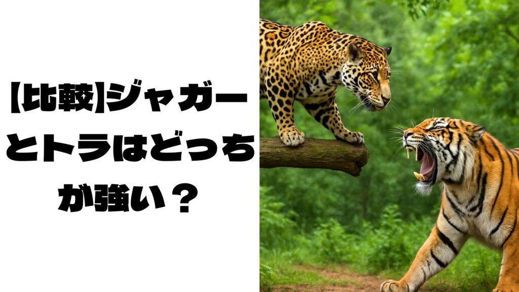 ジャガーとトラが戦う画像