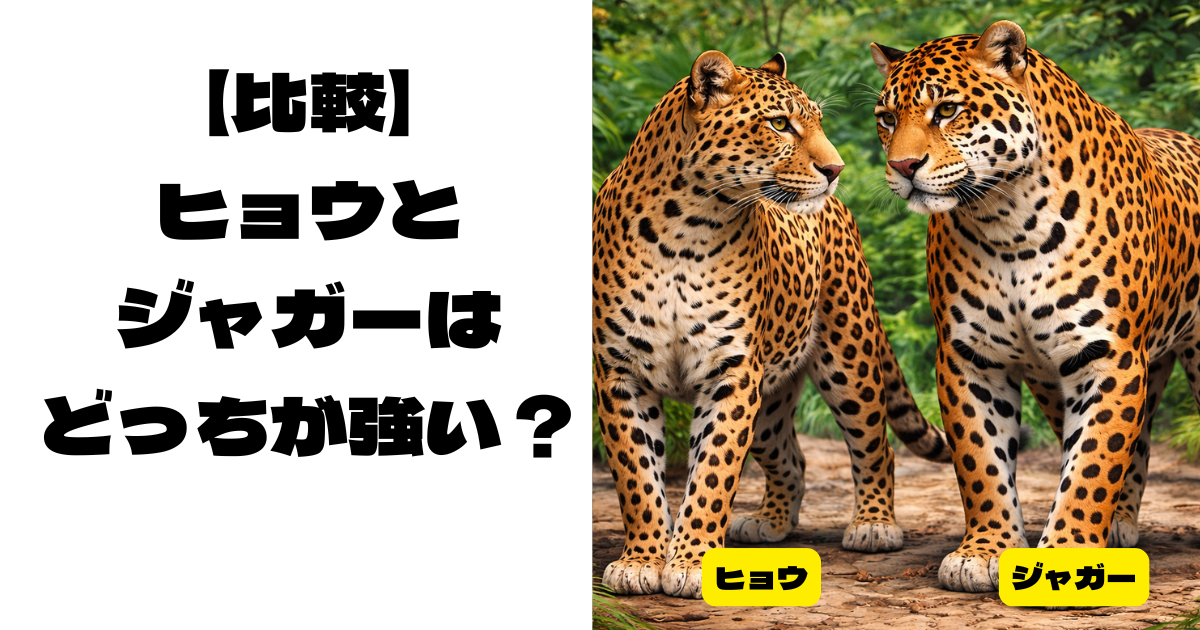 ジャングルにいるヒョウとジャガーの画像